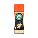 Robertsons Spices - Ginger 39g/100ml