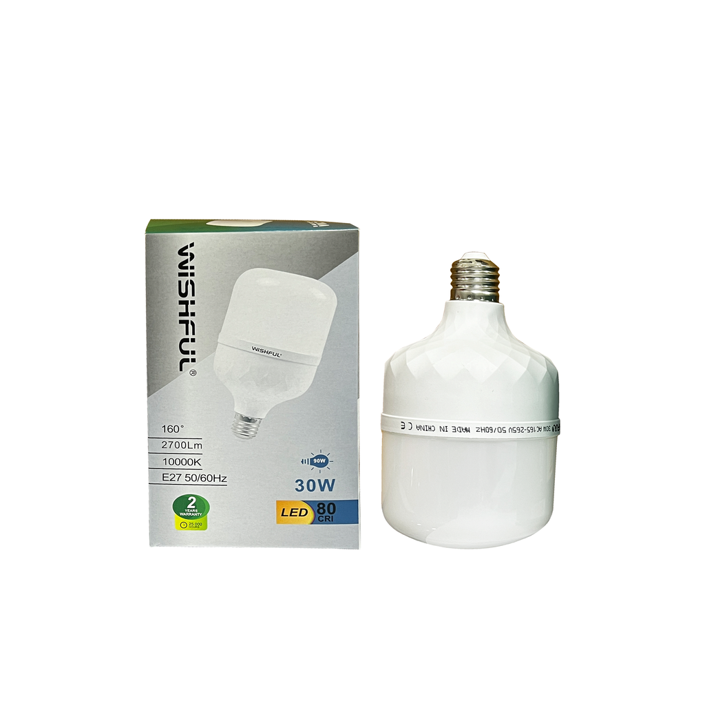 Ecomin Pro LED Bulb 30W