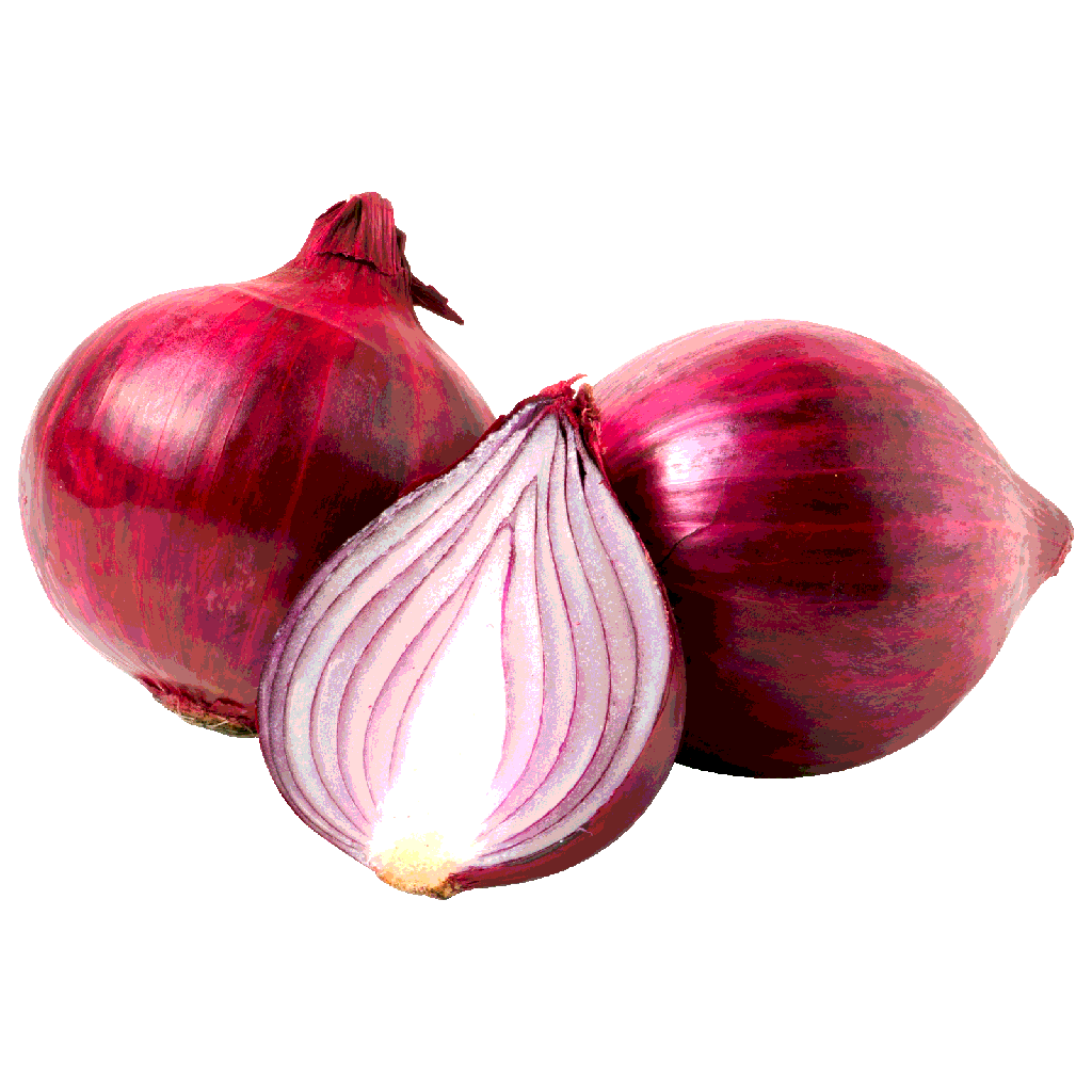Onion Fresh - India