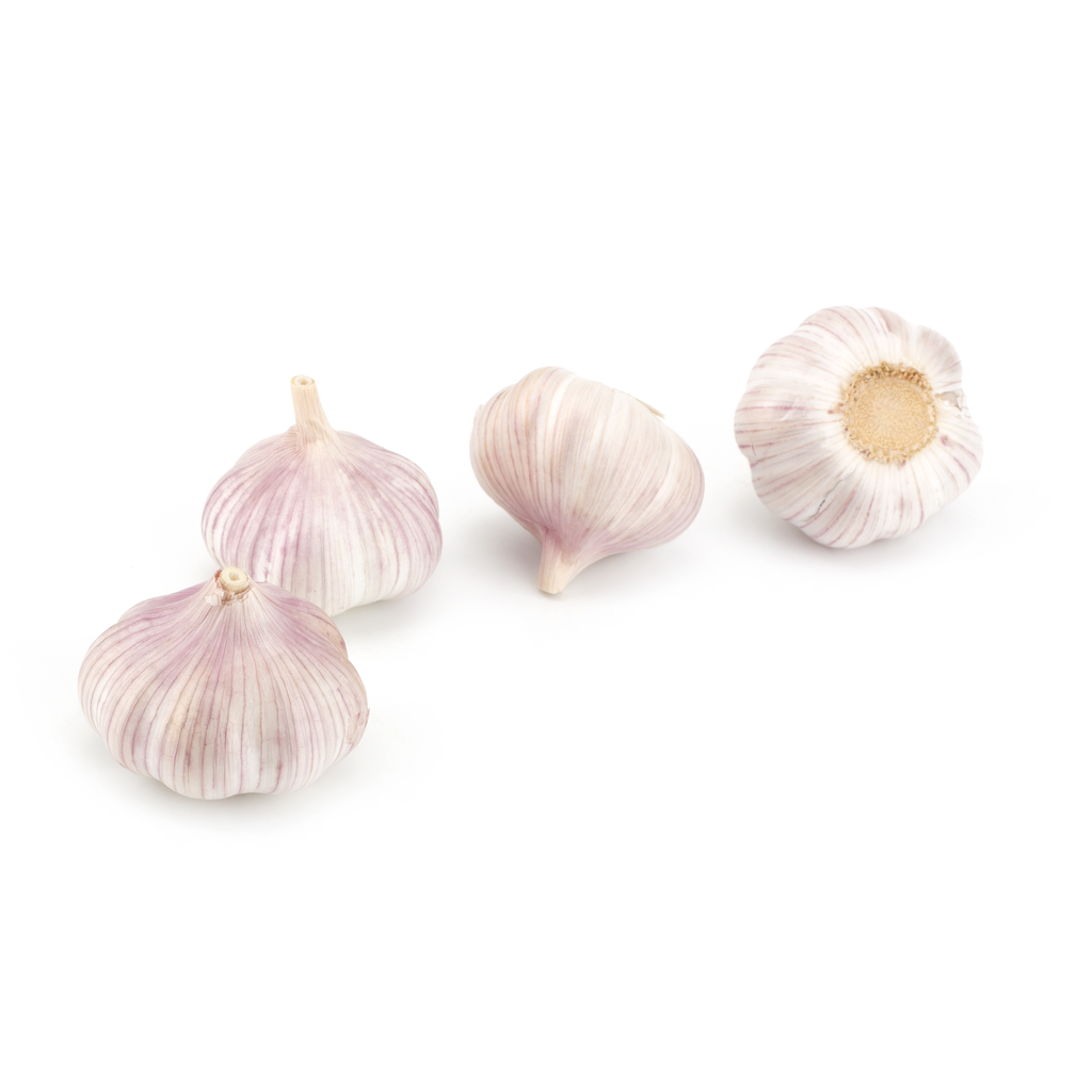 Garlic Fresh White 10kg Bag