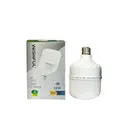 Ecomin Pro LED Bulk (100x30W)