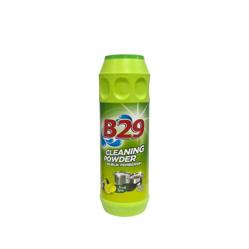 [52101] B29 Scouring powder 650g Bot