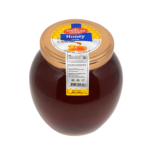 [42017] American Gourmet Honey 500g Bot