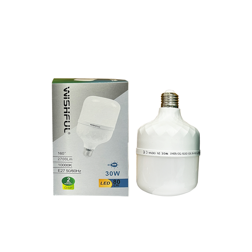 [58148] Ecomin Pro LED Bulb 30W